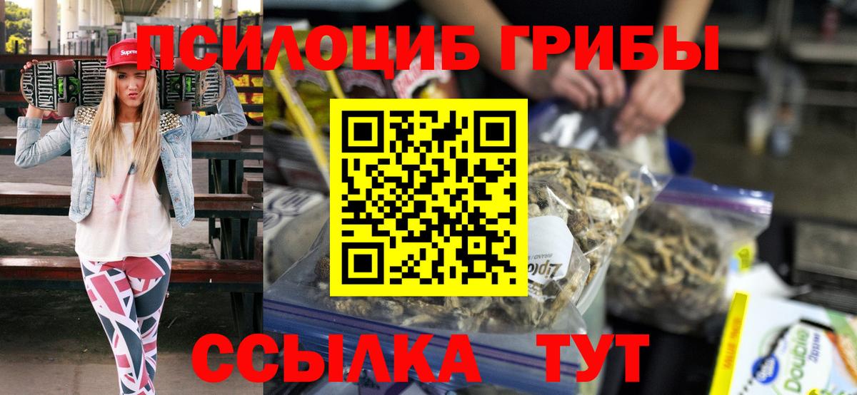 Псилоцибиновые грибы Cubensis Карпинск