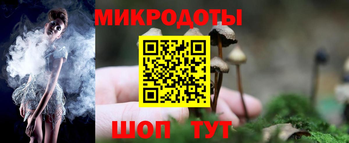 Карпинск  Галлюциногенные грибы GOLDEN TEACHER  Вход с VPN  наркота  Галлюциногенные грибы GOLDEN TEACHER 
